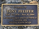 Pfeifer, Tony (id=7172)